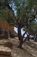 Tal der Tempel