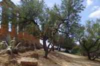 Tal der Tempel