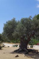 Tal der Tempel