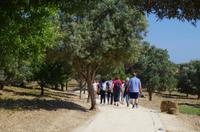 Tal der Tempel
