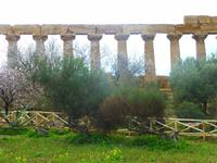 Tal der Tempel