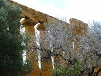 Tal der Tempel