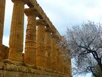 Tal der Tempel