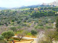Tal der Tempel