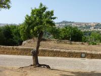 Tal der Tempel