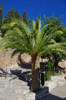 Taormina