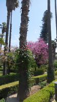 botanische Garten