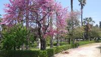 botanische Garten