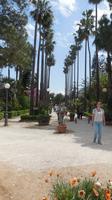 botanische Garten