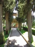 botanischer Garten
