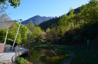 002 Meran, Garten und Schloss Trautmannsdorf