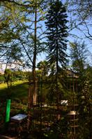 004 Meran, Garten und Schloss Trautmannsdorf