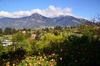 008 Meran, Garten und Schloss Trautmannsdorf