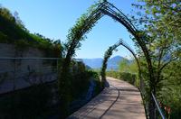 018 Meran, Garten und Schloss Trautmannsdorf
