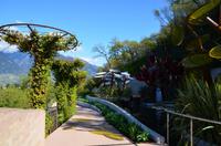 019 Meran, Garten und Schloss Trautmannsdorf