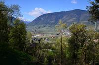 026 Meran, Garten und Schloss Trautmannsdorf