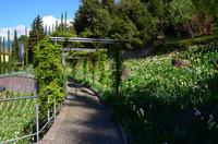 034 Meran, Garten und Schloss Trautmannsdorf
