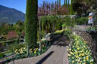 046 Meran, Garten und Schloss Trautmannsdorf