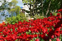 056 Meran, Garten und Schloss Trautmannsdorf
