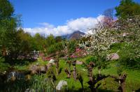 062 Meran, Garten und Schloss Trautmannsdorf