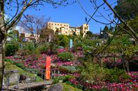063 Meran, Garten und Schloss Trautmannsdorf