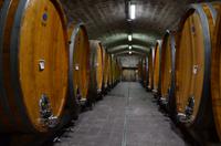 097 St. Pauls, Führung im Weinkeller mit Franz Kofler