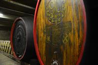 099 St. Pauls, Führung im Weinkeller mit Franz Kofler