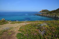 141 Korsika, Maggia am Pointe de la Parata