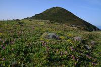 143 Korsika, Maggia am Pointe de la Parata