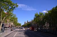 200 Barcelonas breite Platanenalleen