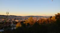 273 Barcelona, Blick vom Olympia Berg auf die Stadt