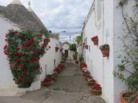 Stadt der Trullis – Alberobello