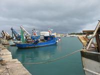 Im Hafen von Trani
