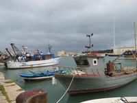 Im Hafen von Trani