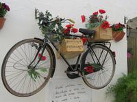 In den Gassen von Locorotondo