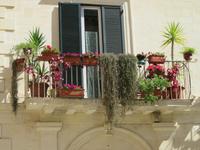 Blumenschmuck in Lecce