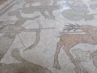 Mosaikboden in der Kathedrale von Ótranto