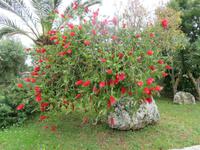 In der Masseria Refrigerio 