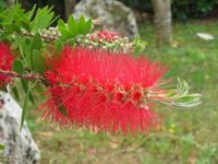 In der Masseria Refrigerio 