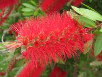 In der Masseria Refrigerio 