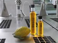 In der Ölmühle bei Cisternino