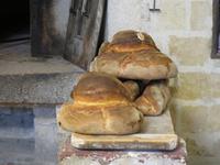 Die berühmten Brote von Altamura