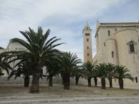 die Kathedrale von Trani 