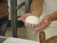Mozzarella Herstellung 