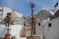 Alberobello