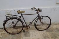 Cisternino Ölmühle