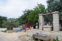 Cisternino Ölmühle