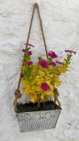 Apulien-Blumenschmuck in Alberobello.jpeg
