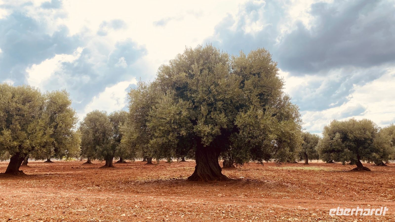 Masseria di Priore - Kochkurs.jpeg