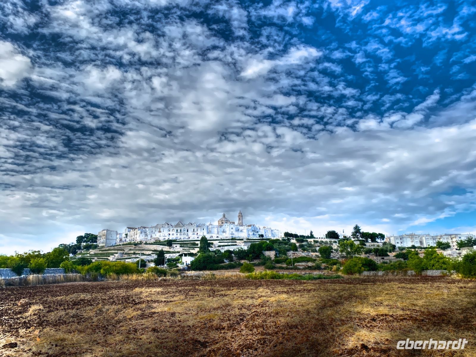Apulien-Blick auf Locorotondo.jpeg